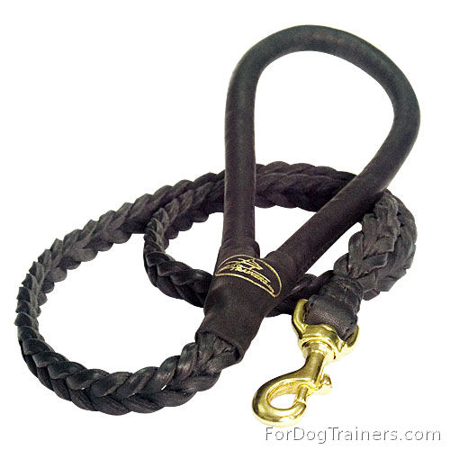 Stylish Braided Leather Great Dane Leash