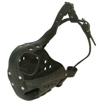Super Strong Leather Muzzle for Working Great Dane