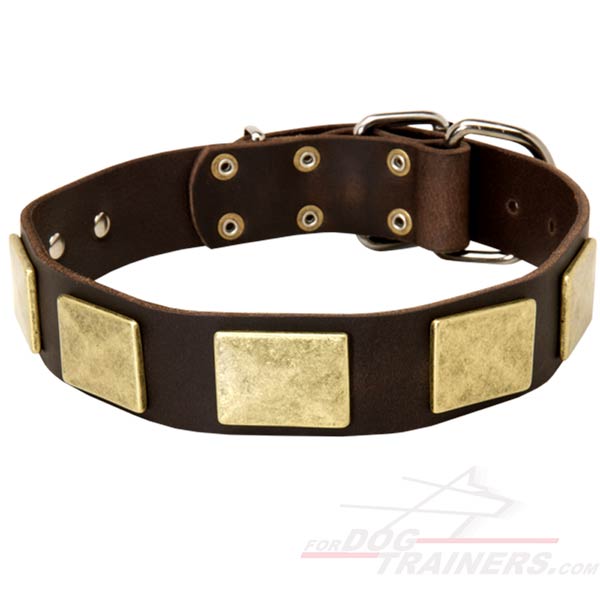Stylish Leather Great Dane Collar with Nickel Plates