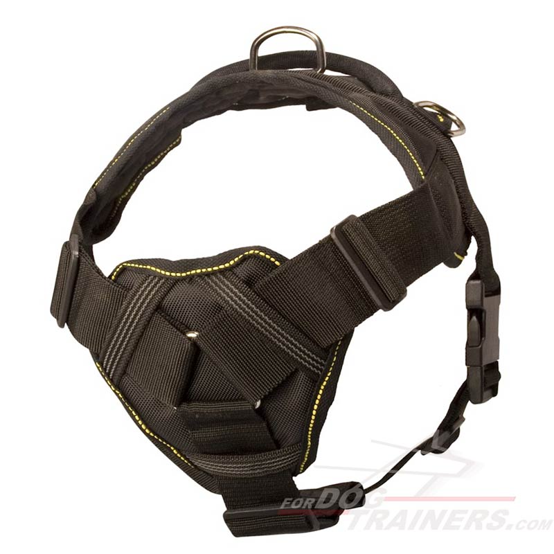 Multifunctional Nylon Dog Harness for Great Dane
