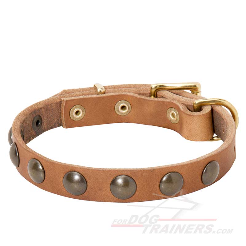 Studded Leather Dog Collar for Great Dane