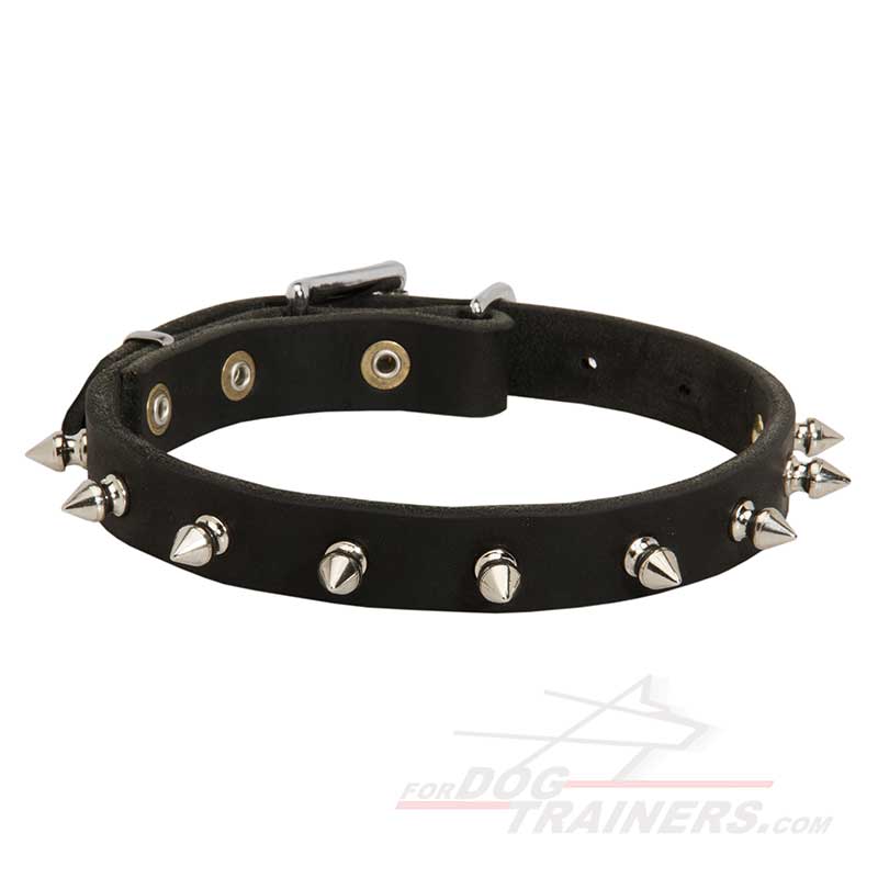 Spiked leather dog collar for Great Dane