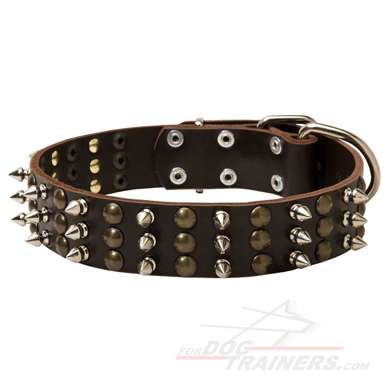 Gorgeous Leather Great Dane Collar for Stylish Walking