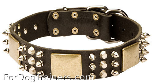 Leather Great Dane Collar with Riveted Hardware