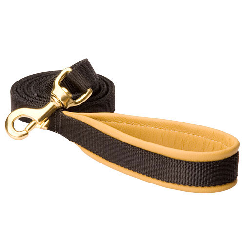 Water Resistant Nylon Great Dane Leash