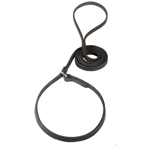 Great Dane Dog Leather Leash and Collar in One