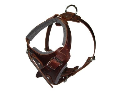 Training and Walking Leather Great Dane Harness