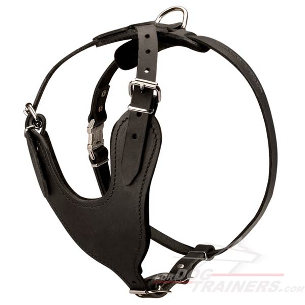 Easily Adjustable Comfy Leather Great Dane Harness