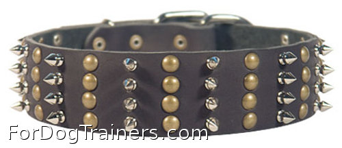 Fabulous Leather Great Dane Collar with 4 Rows of Spikes and Studs