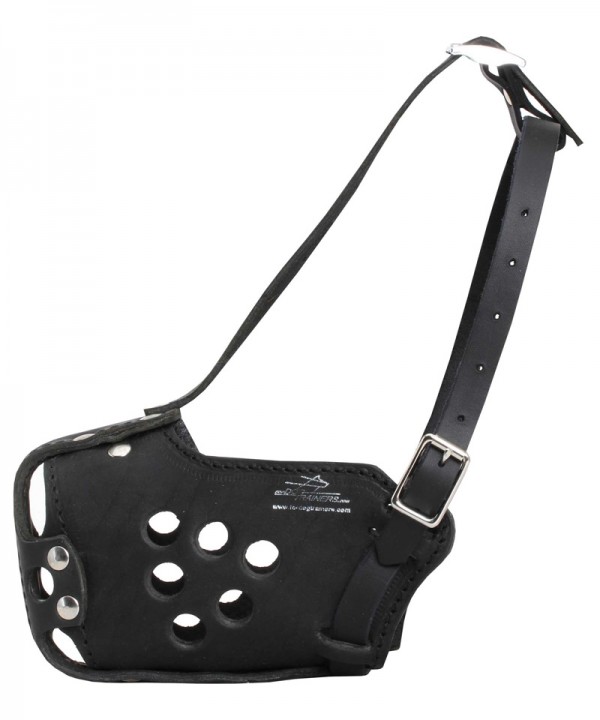 Leather dog muzzle for Great Dane