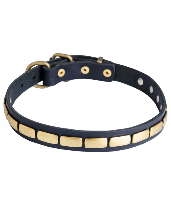 Leather Great Dane Collar with Small Elegant Brass Plates