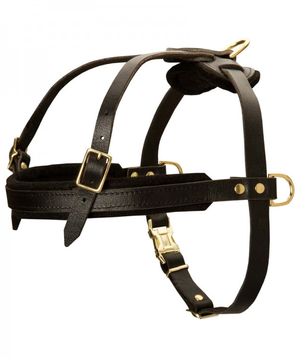 Leather Great Dane Harness for Pulling, Tracking and Walking