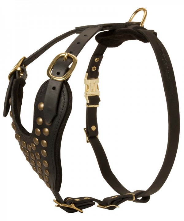 Leather Great Dane Harness with Brass Studs