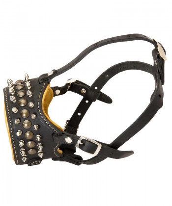 Padded Leather Dog Muzzle with Spikes and Studs