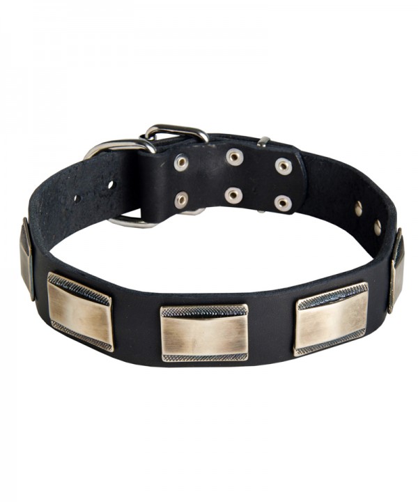 Plated Leather Dog Collar for Great Dane Walking