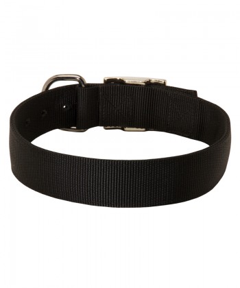 Practical Nylon Great Dane Collar for All Weather Activity