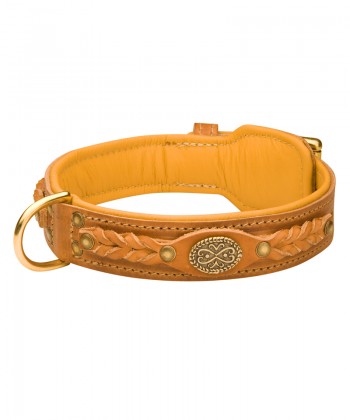Unique Padded Leather Great Dane Collar with Braiding